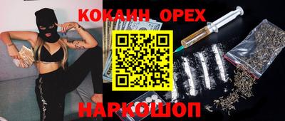 spice Бийск