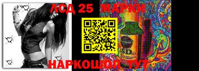 spice Бийск