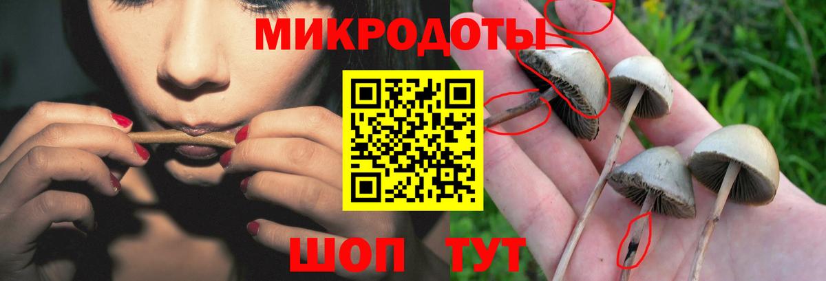 Когалым  Галлюциногенные грибы ЛСД  Псилоцибиновые грибы ЛСД  Вход с VPN 